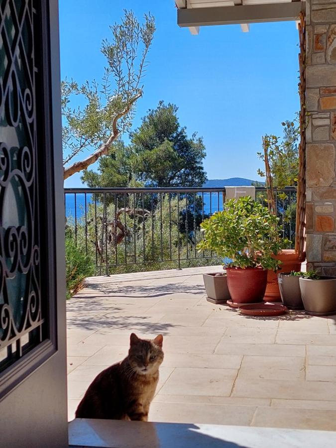 Villa Johell نيوس مارماراس المظهر الخارجي الصورة